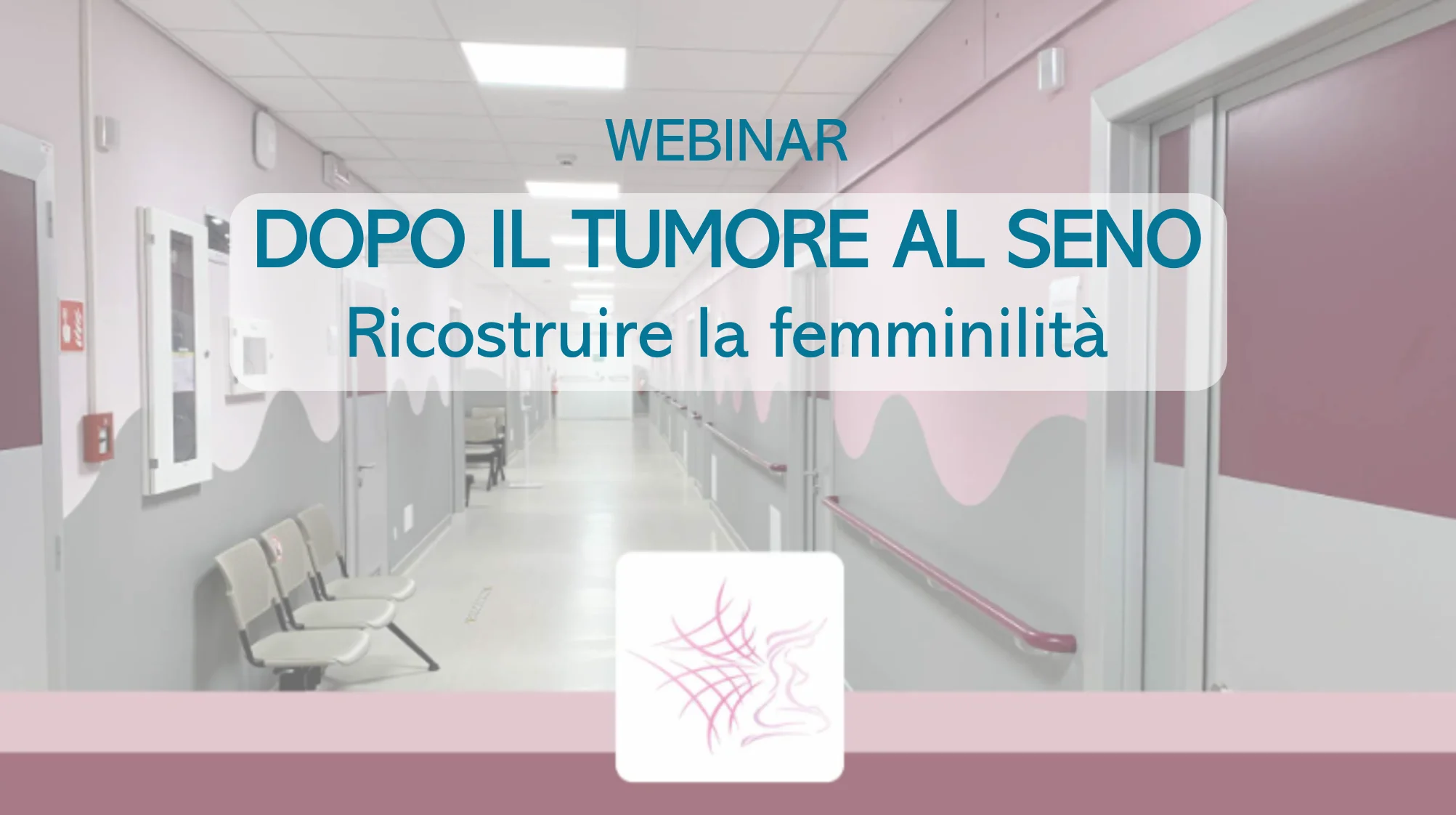 graphical user interface, text, website