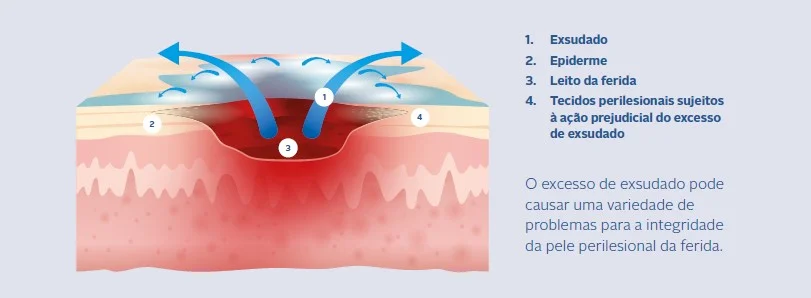 a red and white pocket knife