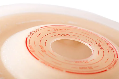 円形の物体が描かれたプレート