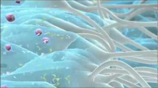 a close-up of a wave