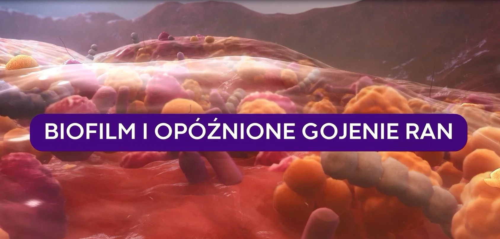 a close-up of some food