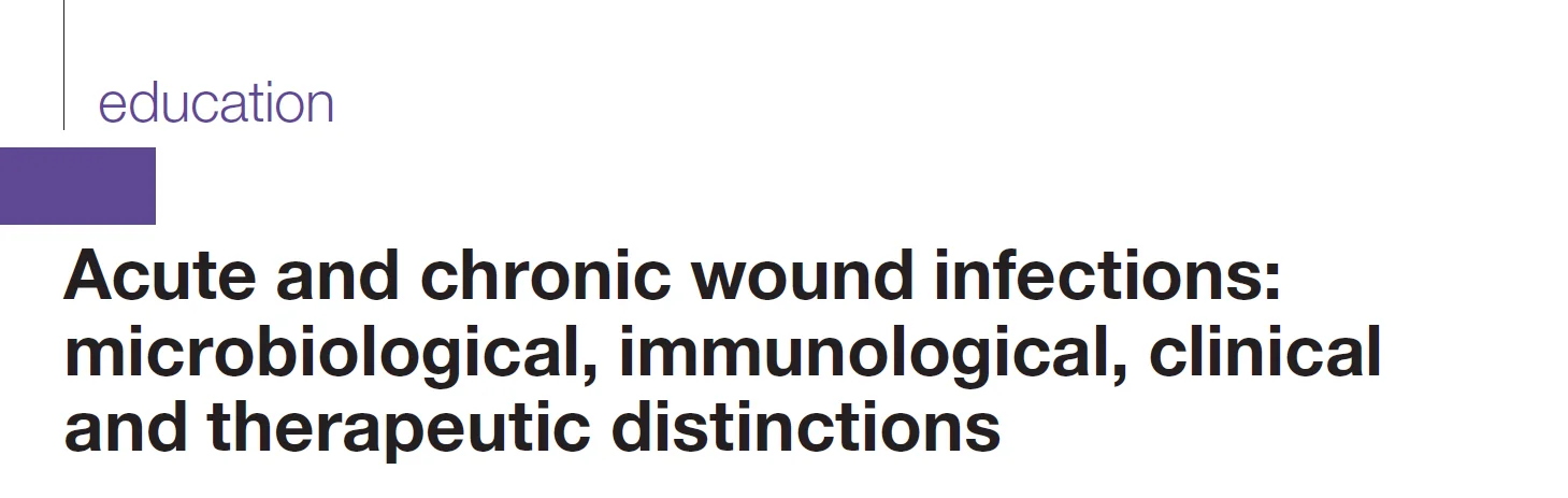 graphical user interface, text, application