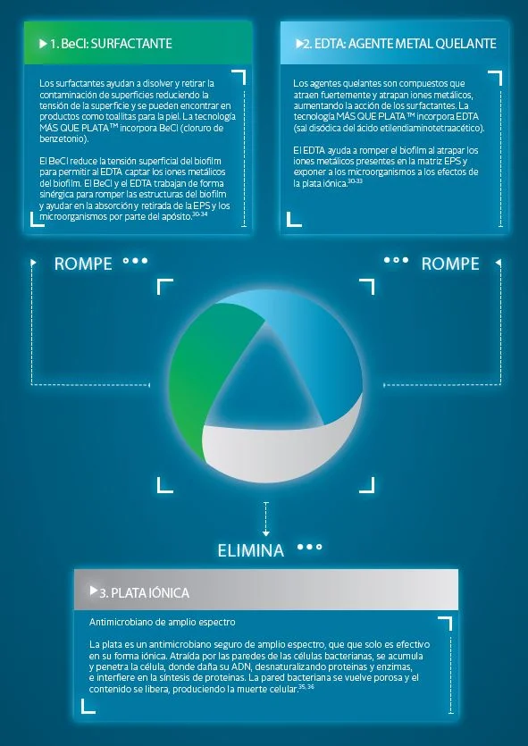 T M&Aacute;S QUE PLATA